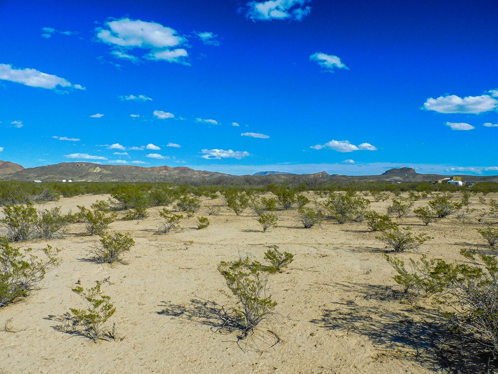 20074 Starry Night, Terlingua, Texas image 19