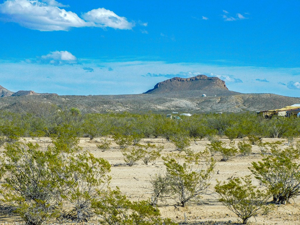20074 Starry Night, Terlingua, Texas image 5