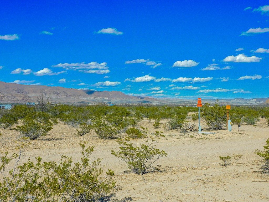 20074 Starry Night, Terlingua, Texas image 15