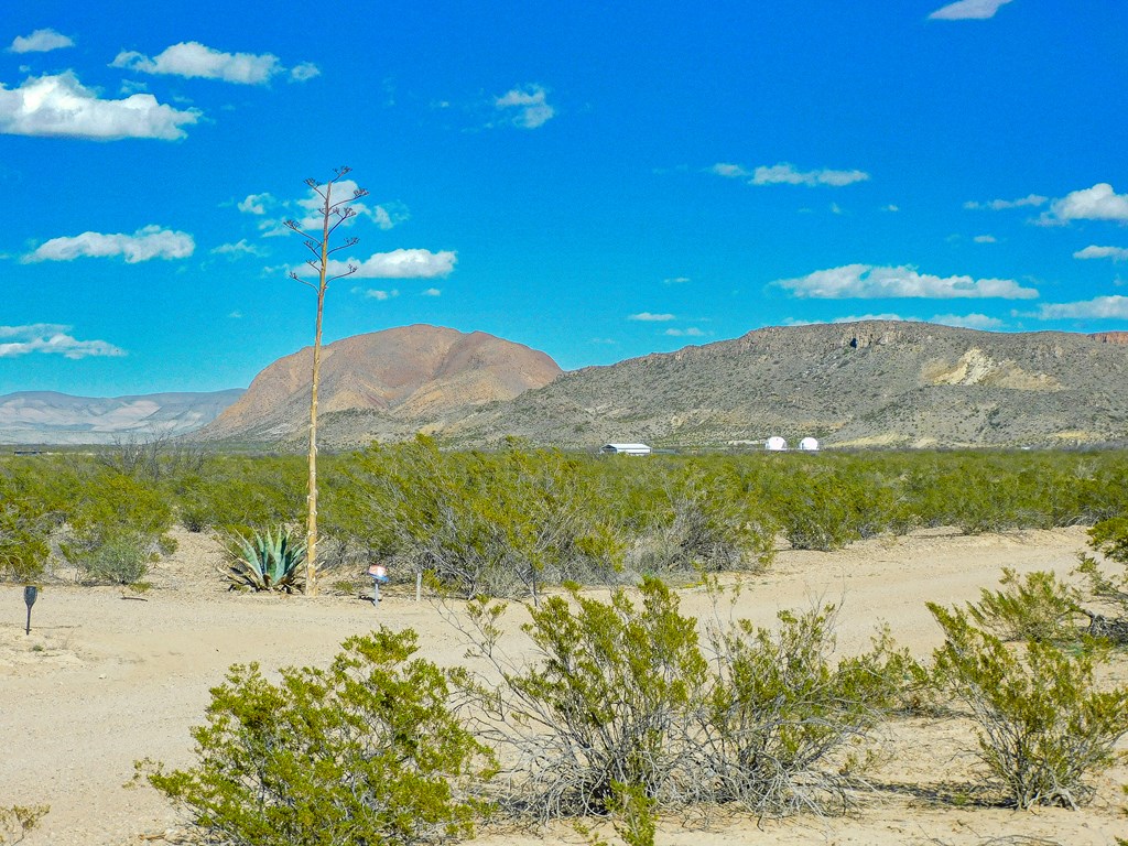 20074 Starry Night, Terlingua, Texas image 17