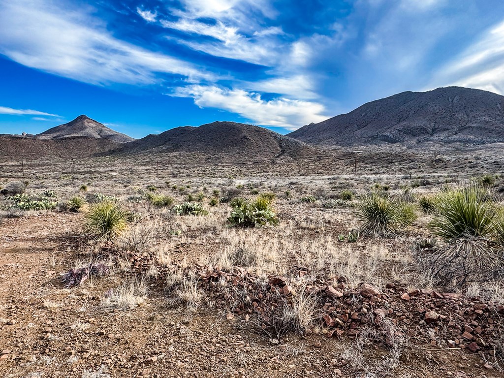 TR 894A Lake Ament Rd, Terlingua, Texas image 3
