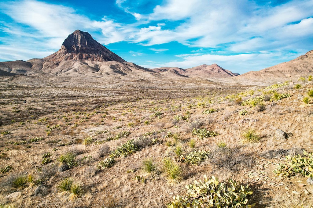 TR 894A Lake Ament Rd, Terlingua, Texas image 20