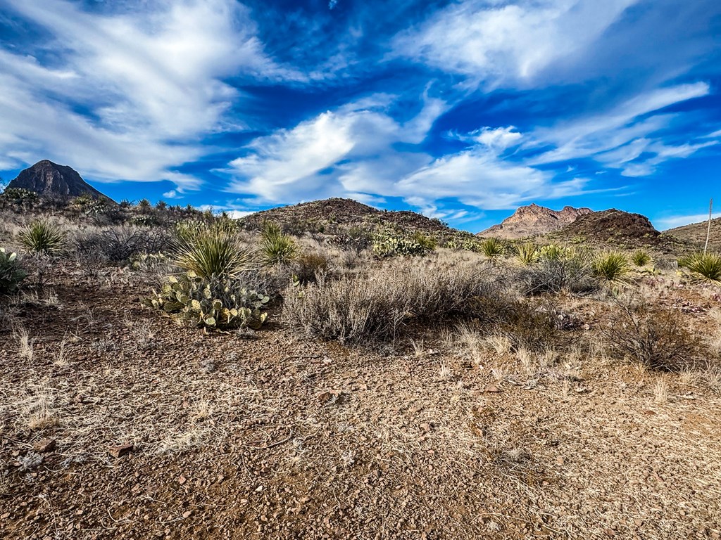 TR 894A Lake Ament Rd, Terlingua, Texas image 6