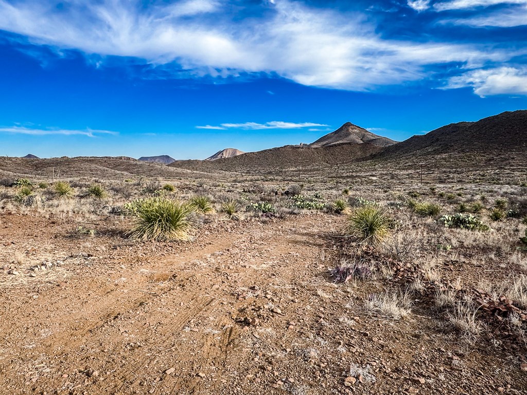 TR 894A Lake Ament Rd, Terlingua, Texas image 2