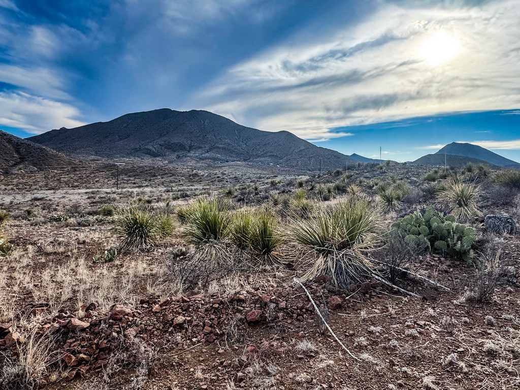 TR 894A Lake Ament Rd, Terlingua, Texas image 4
