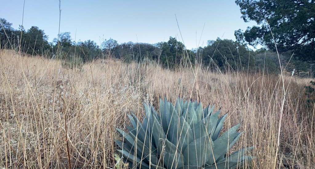 306 Tejano Trail, Fort Davis, Texas image 6