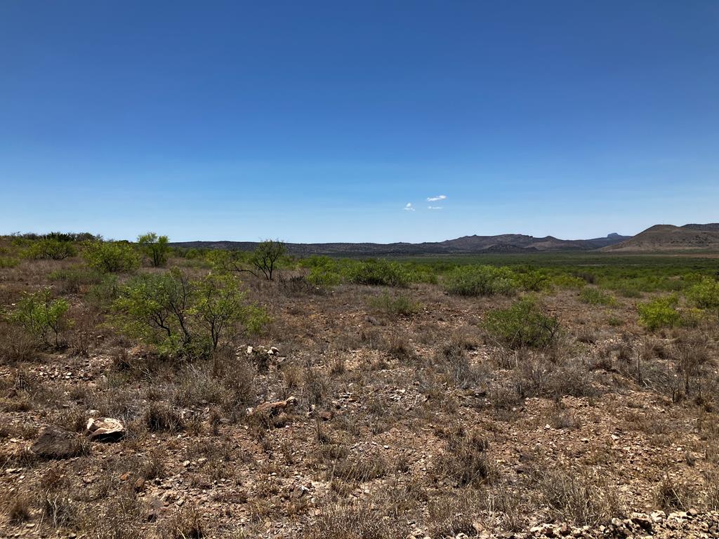 56 High Lonesome Dr, Alpine, Texas image 1