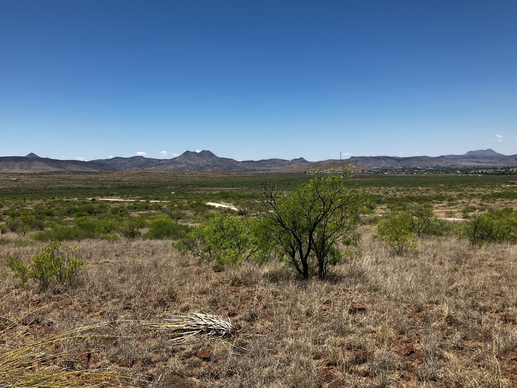 56 High Lonesome Dr, Alpine, Texas image 6