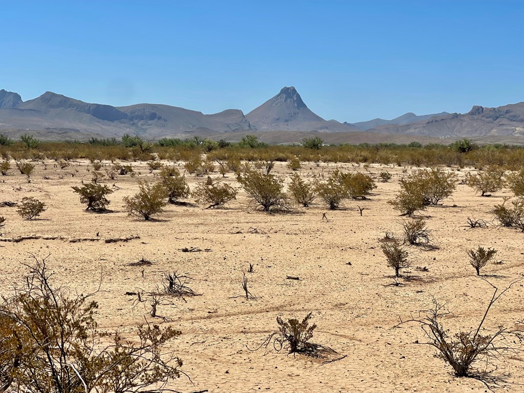 G134 Flat Tire Rd, Terlingua, Texas image 4
