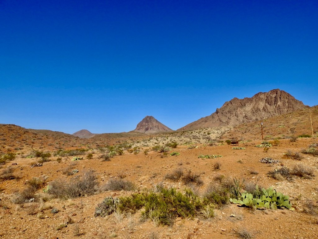 1005 Harold Wynne Road, Terlingua, Texas image 50