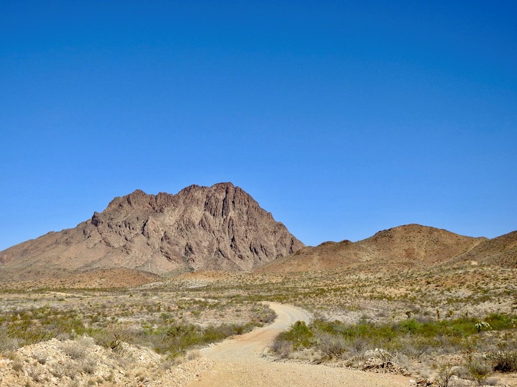 1005 Harold Wynne Road, Terlingua, Texas image 2