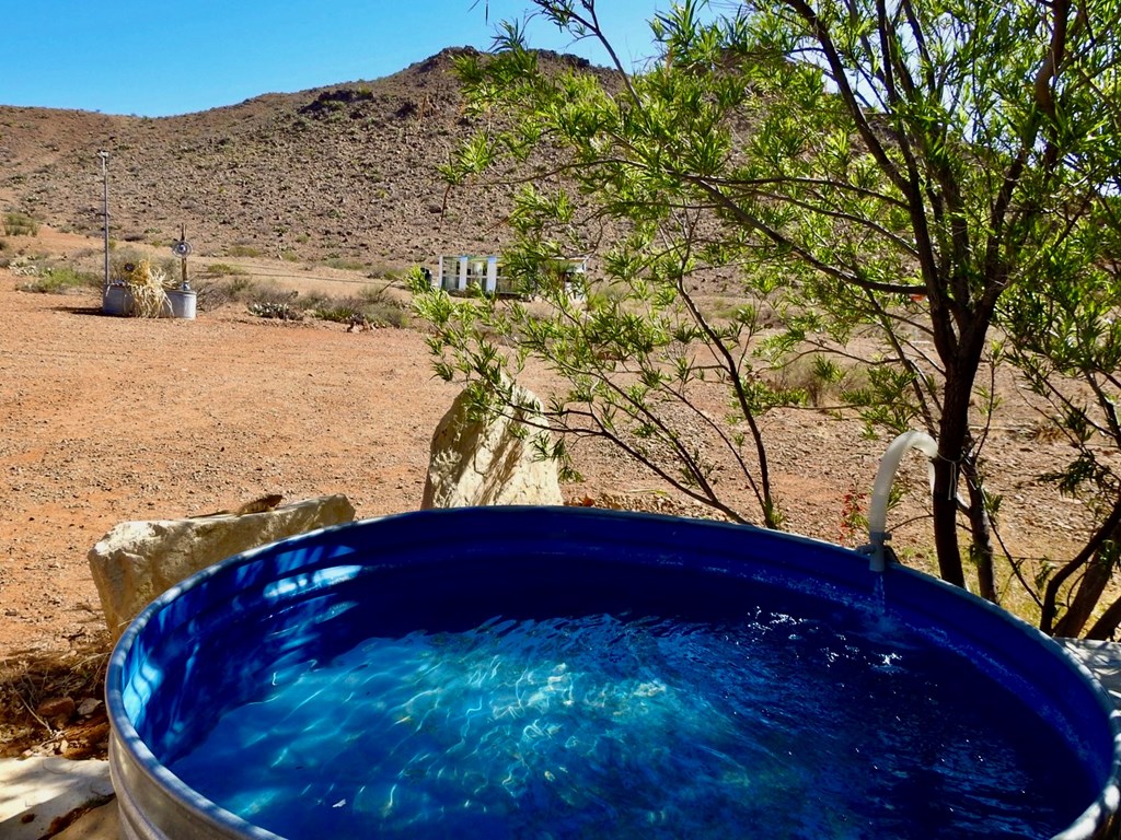 1005 Harold Wynne Road, Terlingua, Texas image 10