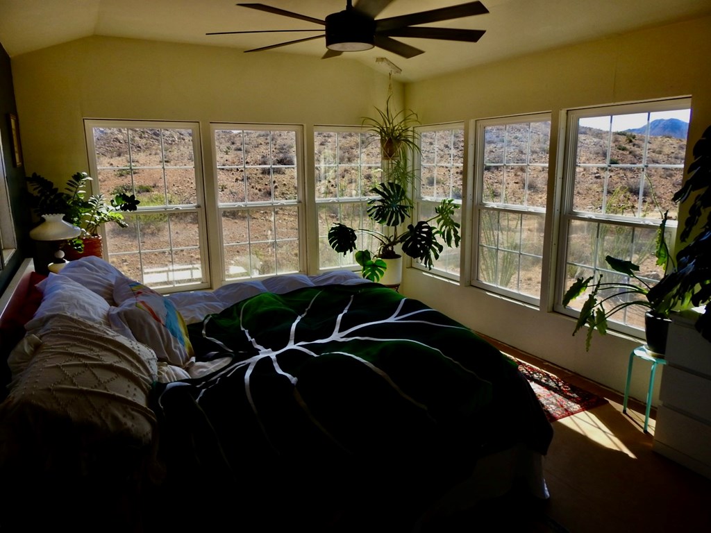 1005 Harold Wynne Road, Terlingua, Texas image 22