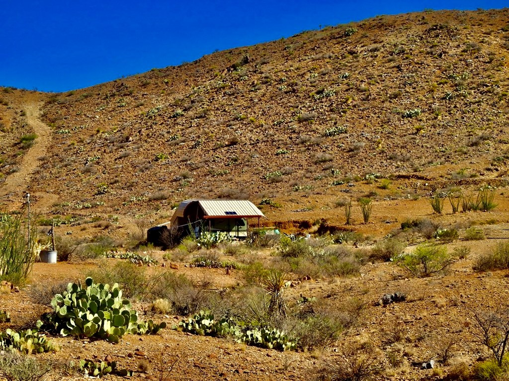 1005 Harold Wynne Road, Terlingua, Texas image 30
