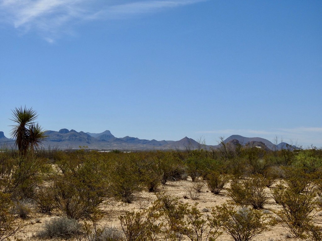 8878 N Desert Willow Springs Lane, Terlingua, Texas image 10