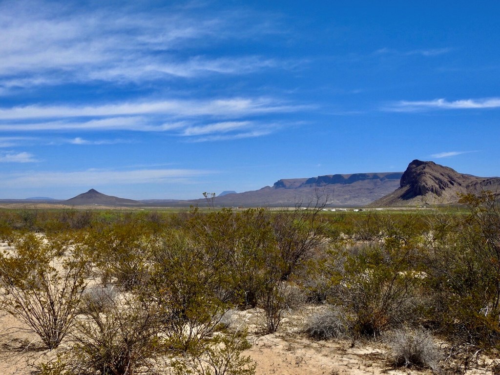 8878 N Desert Willow Springs Lane, Terlingua, Texas image 7