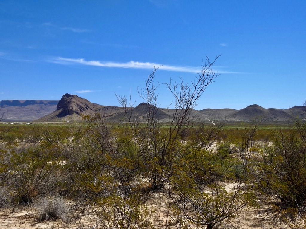 8878 N Desert Willow Springs Lane, Terlingua, Texas image 8