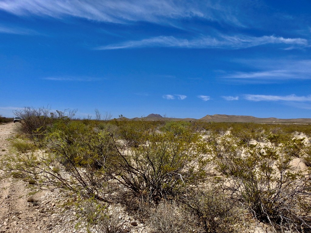 8878 N Desert Willow Springs Lane, Terlingua, Texas image 9