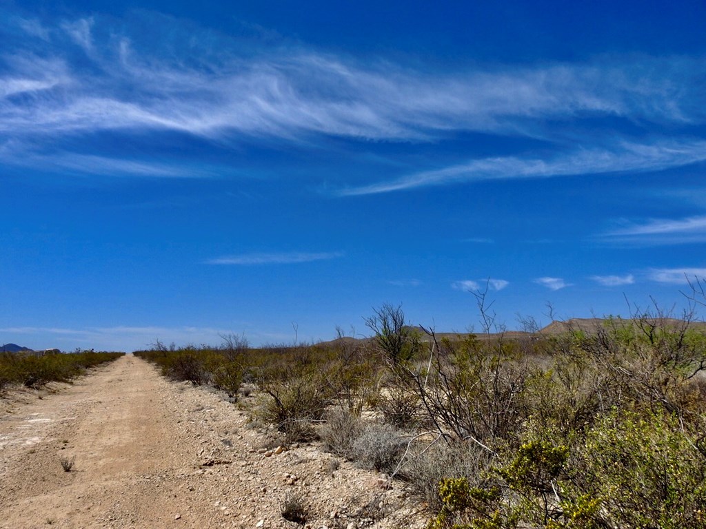 8878 N Desert Willow Springs Lane, Terlingua, Texas image 14