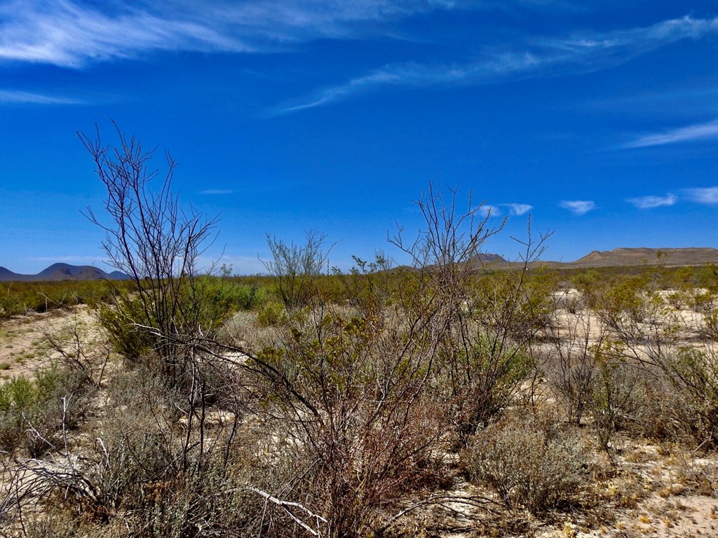 8878 N Desert Willow Springs Lane, Terlingua, Texas image 6