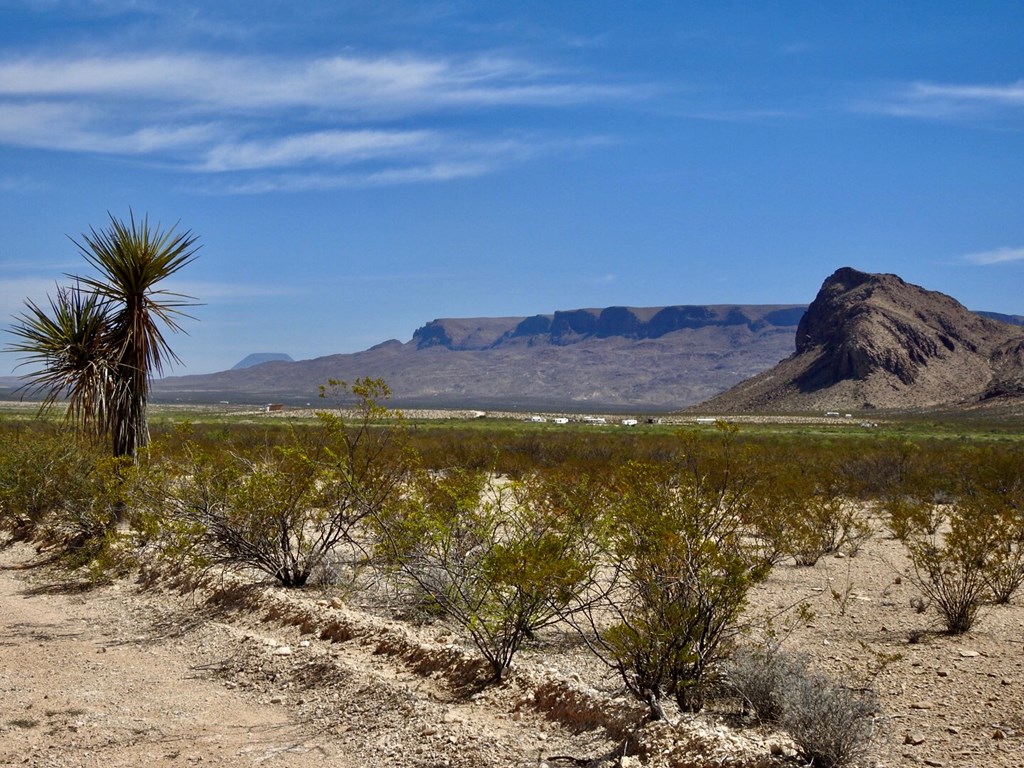 8878 N Desert Willow Springs Lane, Terlingua, Texas image 4