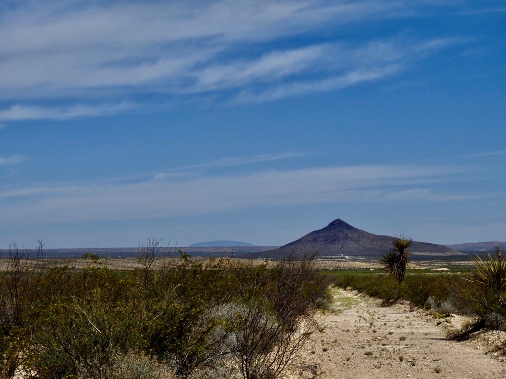 8878 N Desert Willow Springs Lane, Terlingua, Texas image 13