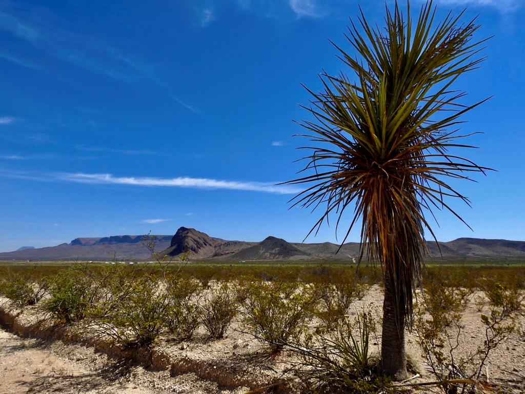 8878 N Desert Willow Springs Lane, Terlingua, Texas image 1