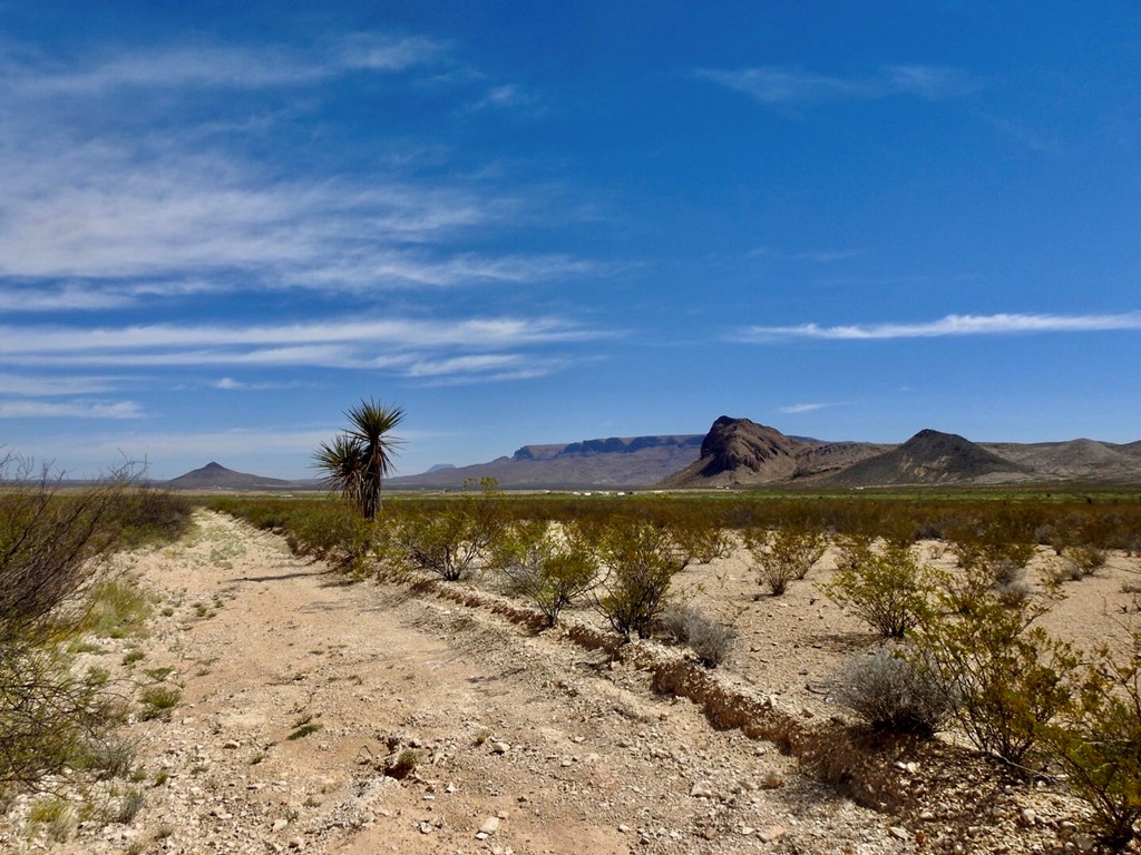 8878 N Desert Willow Springs Lane, Terlingua, Texas image 2