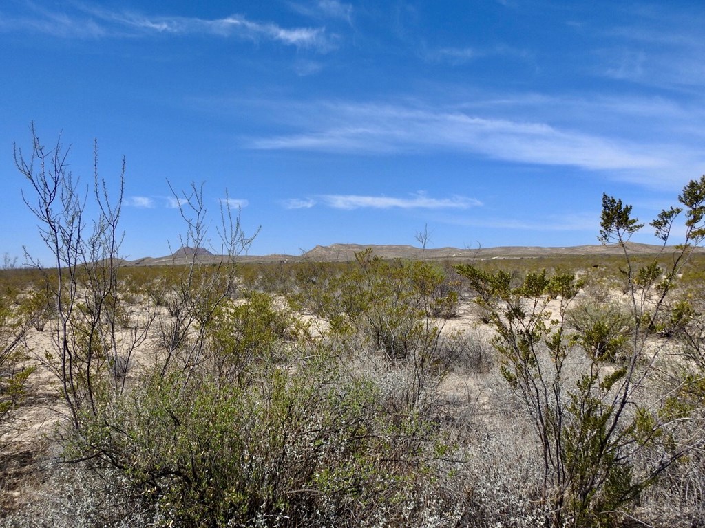 8878 N Desert Willow Springs Lane, Terlingua, Texas image 5