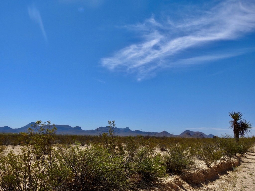 8878 N Desert Willow Springs Lane, Terlingua, Texas image 12