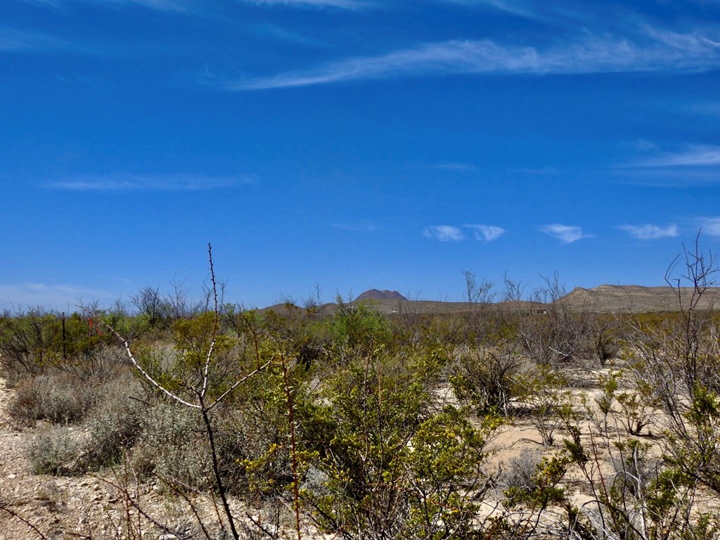 8878 N Desert Willow Springs Lane, Terlingua, Texas image 15