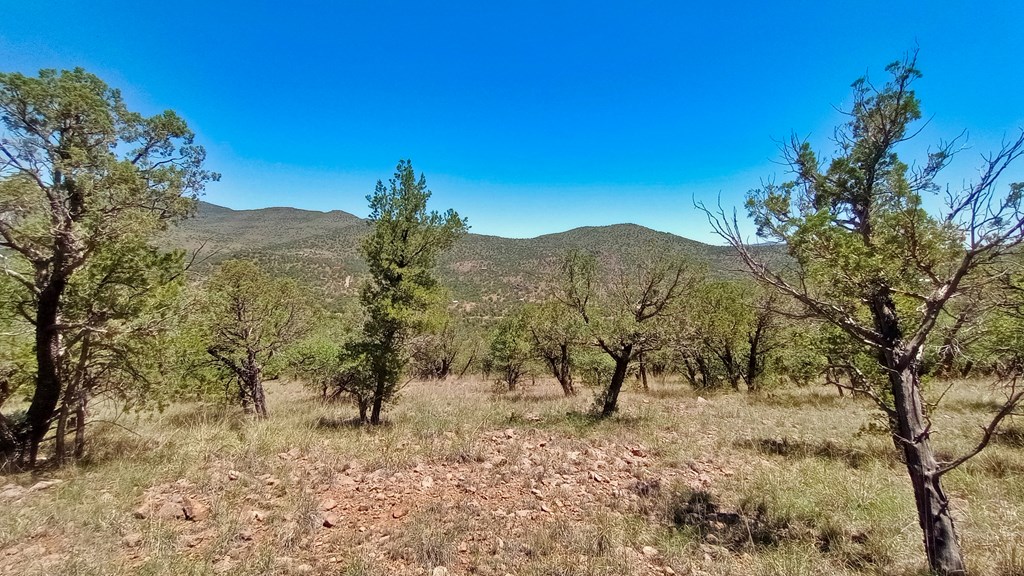 102 Apache Mountain Trail, Fort Davis, Texas image 13