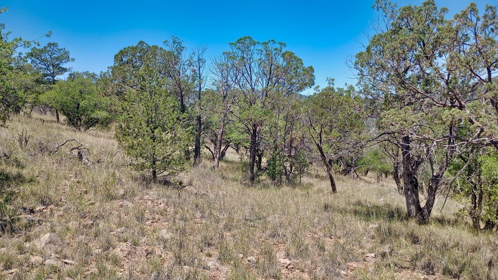 102 Apache Mountain Trail, Fort Davis, Texas image 15