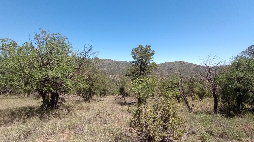 102 Apache Mountain Trail, Fort Davis, Texas image 3