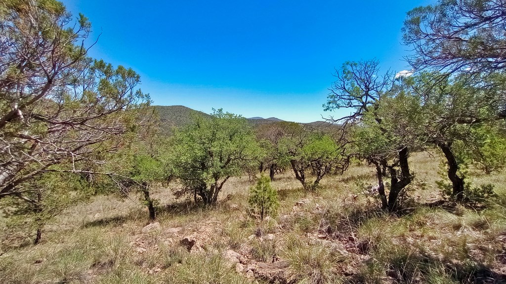 102 Apache Mountain Trail, Fort Davis, Texas image 9