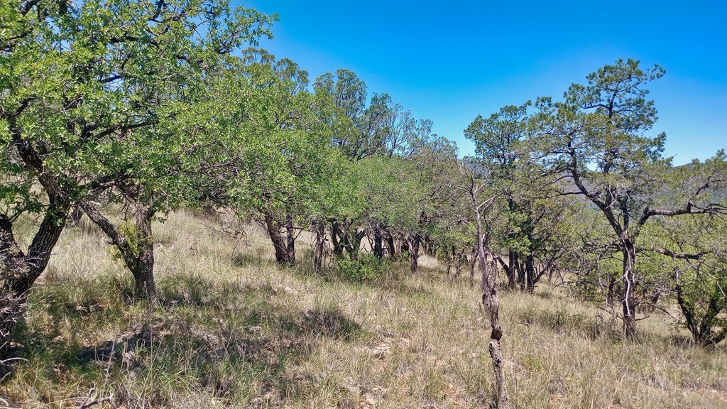 102 Apache Mountain Trail, Fort Davis, Texas image 11