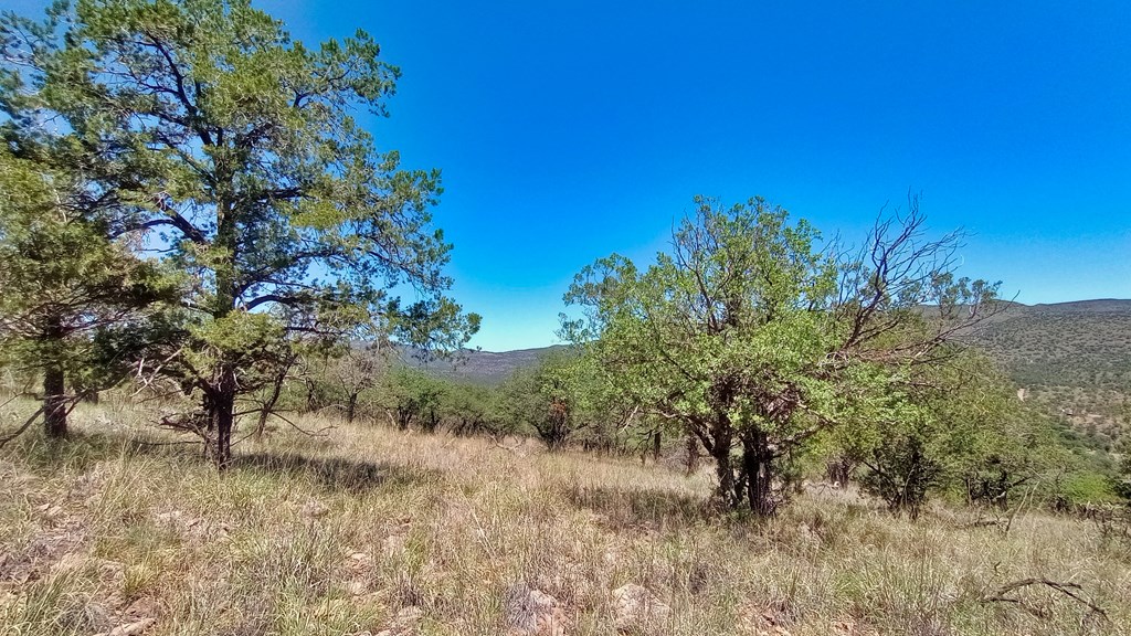 102 Apache Mountain Trail, Fort Davis, Texas image 2