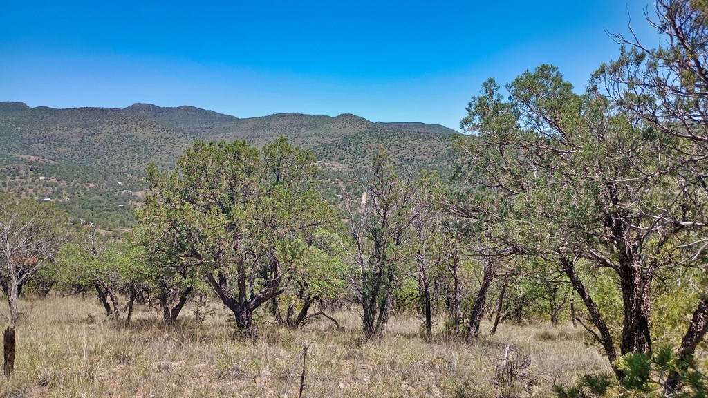 102 Apache Mountain Trail, Fort Davis, Texas image 12