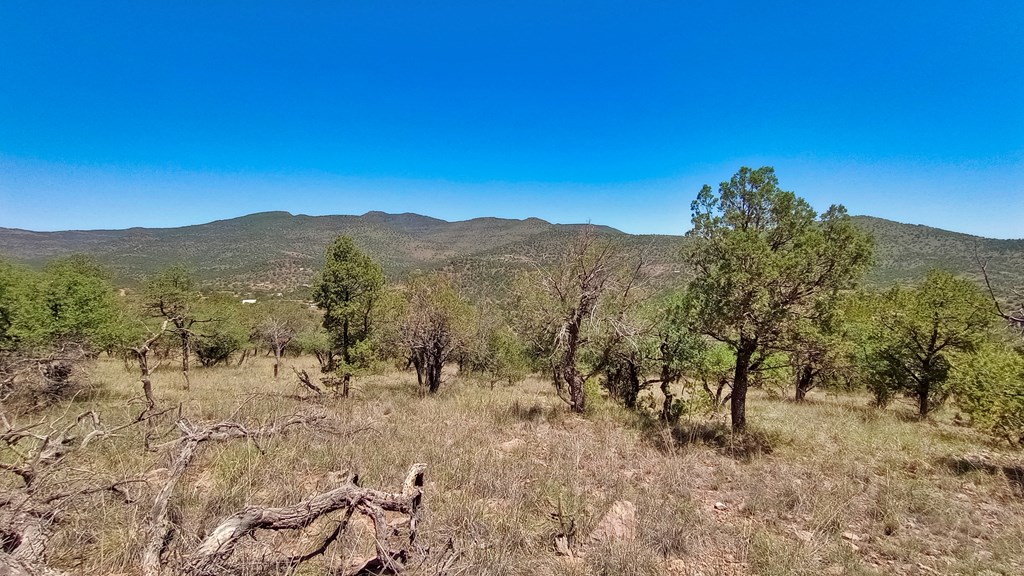 102 Apache Mountain Trail, Fort Davis, Texas image 7