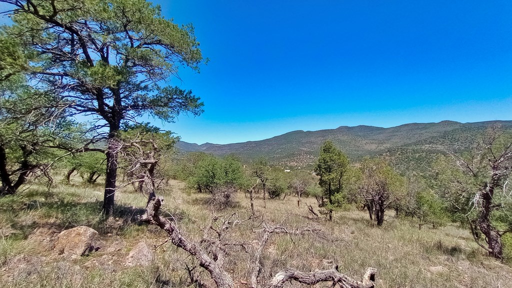 102 Apache Mountain Trail, Fort Davis, Texas image 6