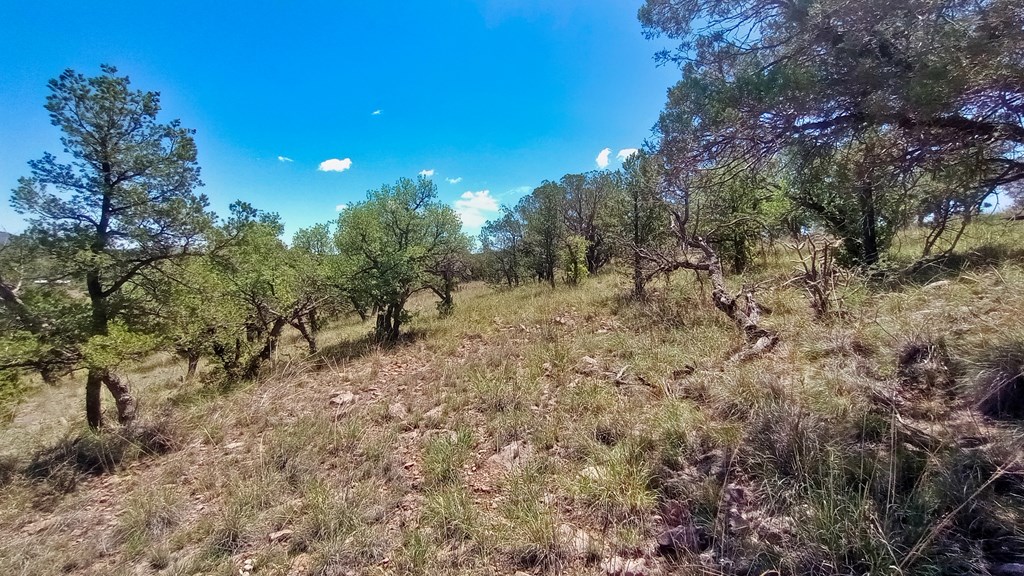 102 Apache Mountain Trail, Fort Davis, Texas image 8