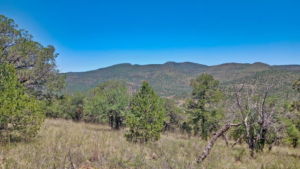 102 Apache Mountain Trail, Fort Davis, Texas image 1