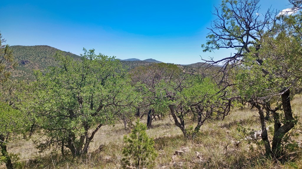 102 Apache Mountain Trail, Fort Davis, Texas image 10