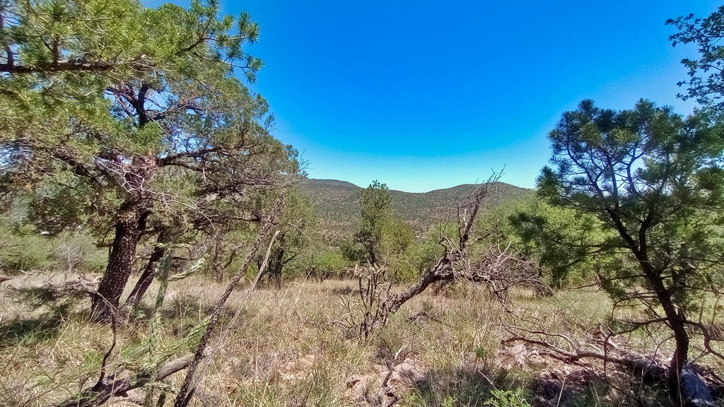 102 Apache Mountain Trail, Fort Davis, Texas image 4