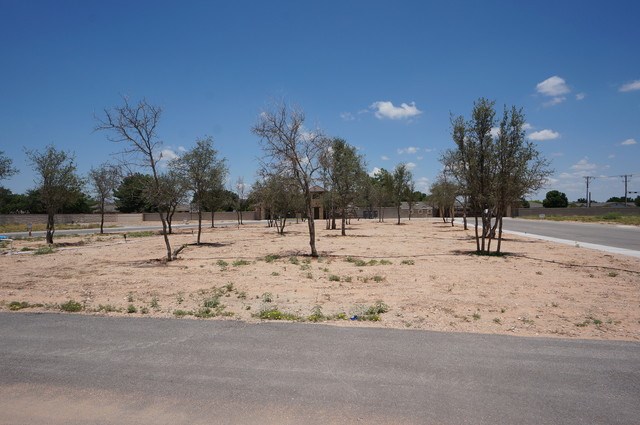 224 Bella Vista Circle, Odessa, Texas image 6