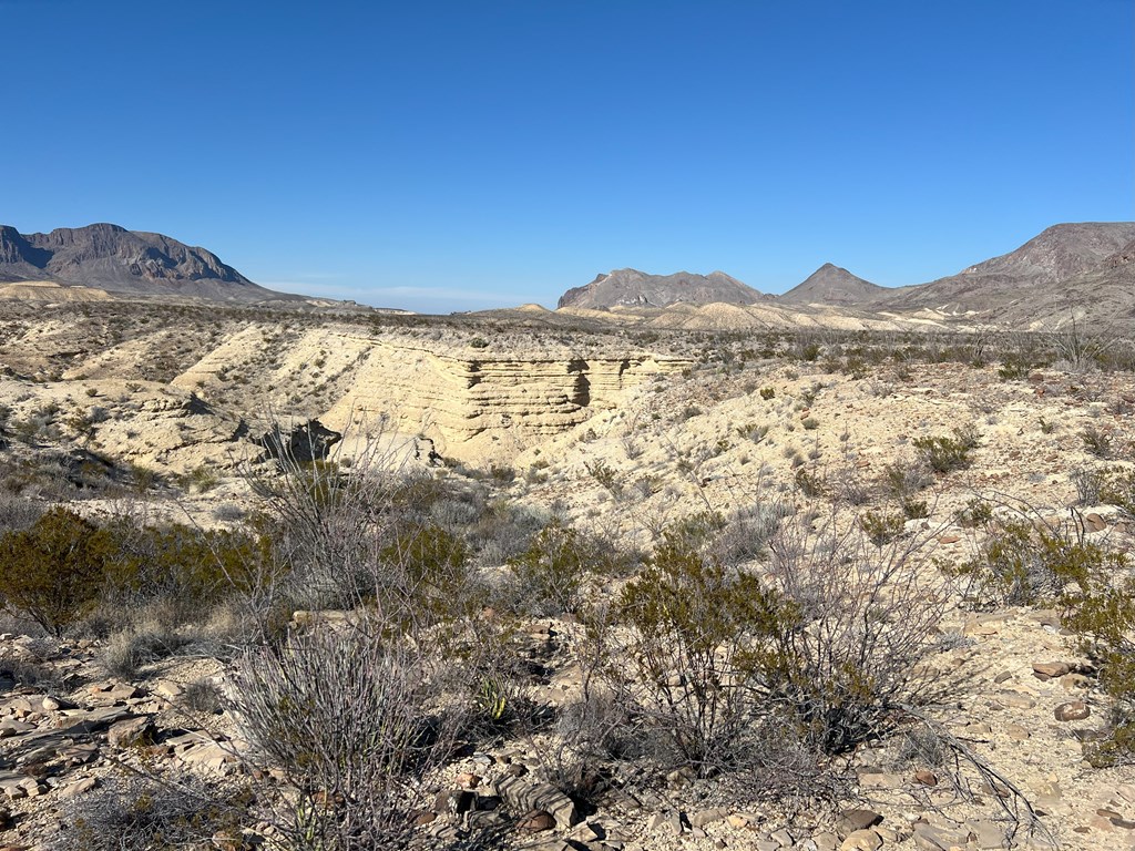 26946 Creekview, Terlingua, Texas image 15