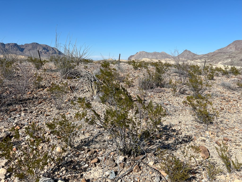 26946 Creekview, Terlingua, Texas image 5