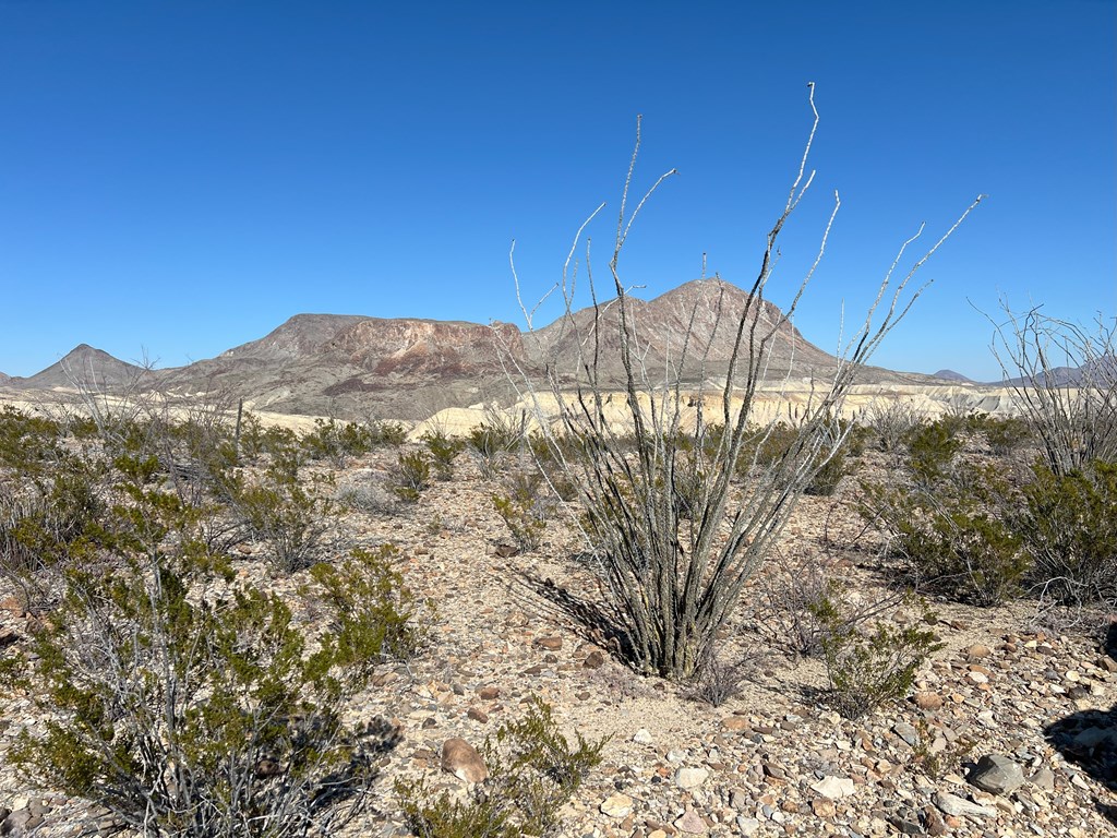 26946 Creekview, Terlingua, Texas image 6