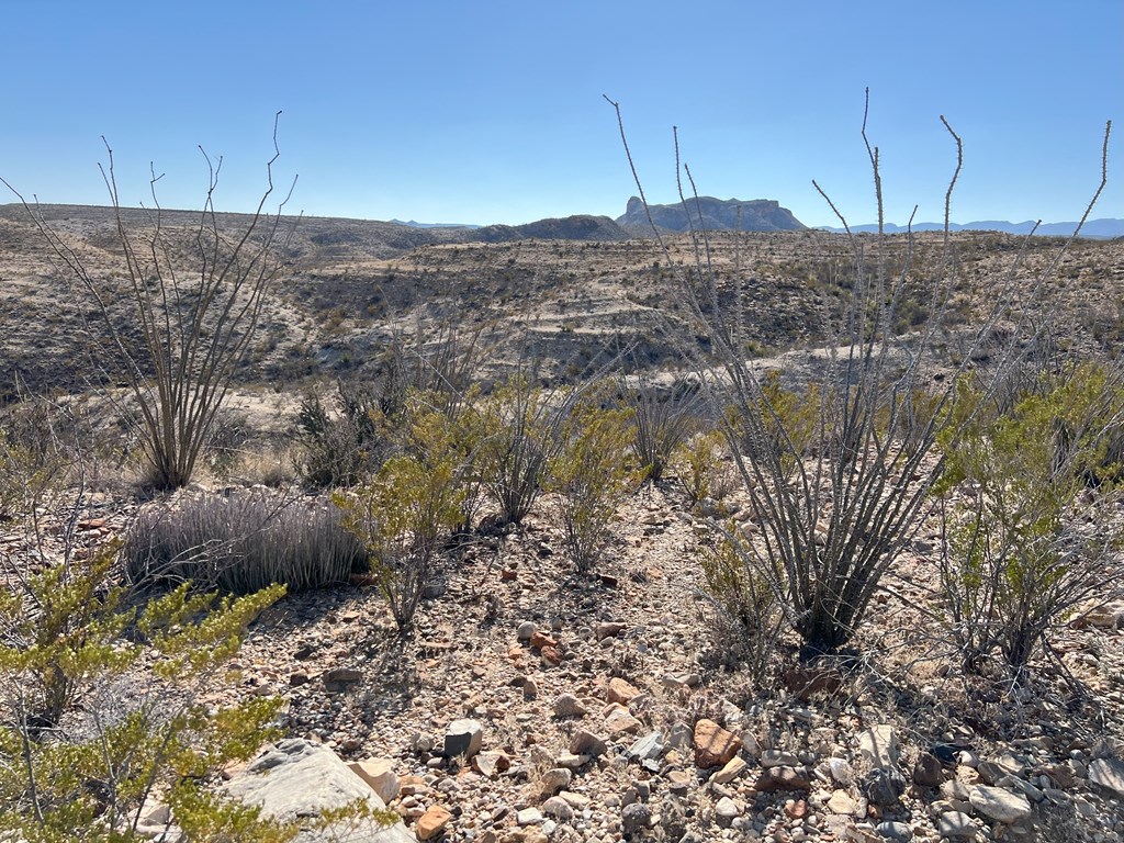 26946 Creekview, Terlingua, Texas image 10