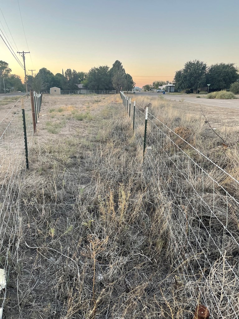 610 W 4th St, Marfa, Texas image 4
